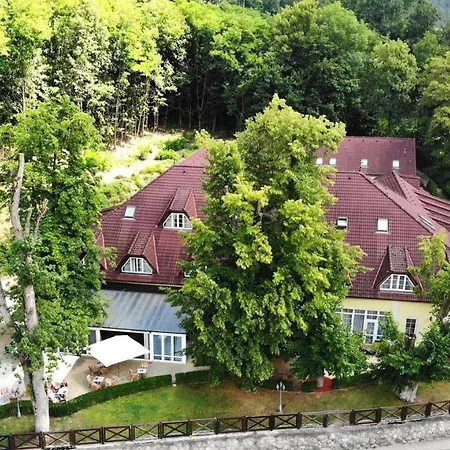 Parkhotel Na Baracke 4* Trencianske Teplice